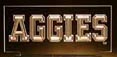 Aggie Divers